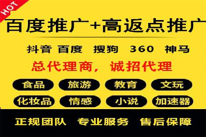 百度竞价推广的技巧与策略：某企业成功案例分享